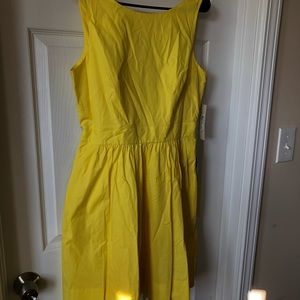 Eliza J Yellow Fit and Flare Dress -NWT